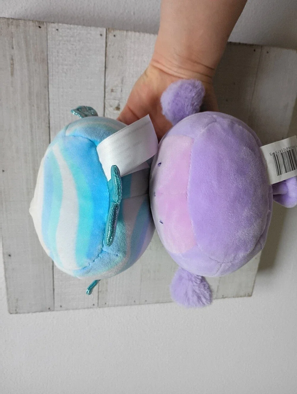 Squishmallows Scarlito Purple Owl & Noah Blue Seal 5